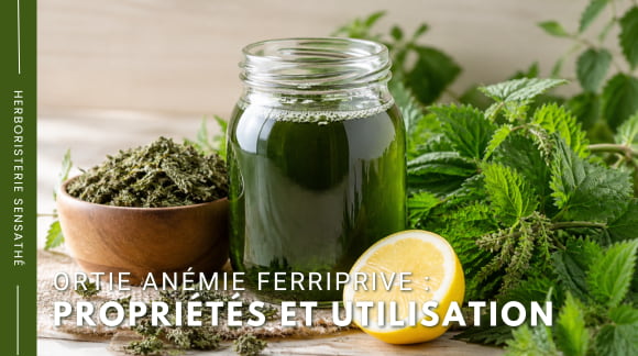 Ortie contre l'anémie ferriprive  propriétés et utilisation - Herboristerie Sensathé